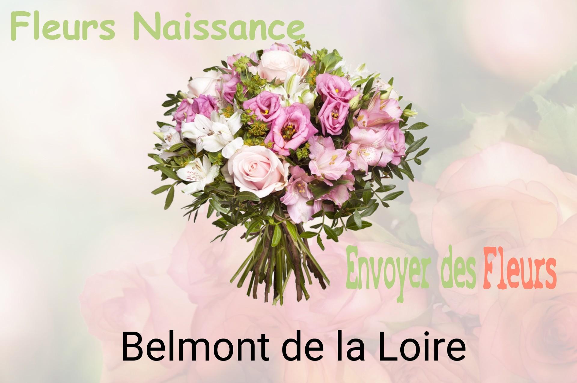 Bouquet de fleurs de naissance livré à Belmont-de-la-Loire